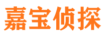 迎江侦探公司